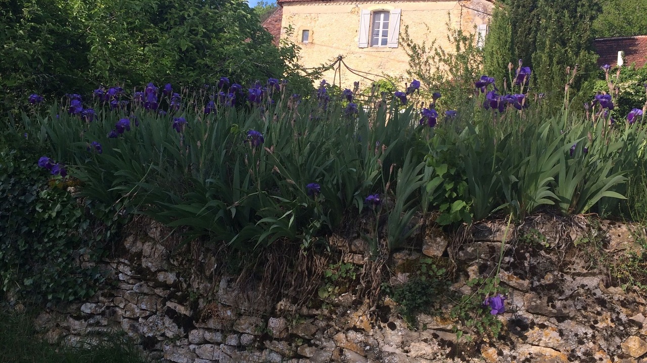 Photo of Outdoor in Tremolat