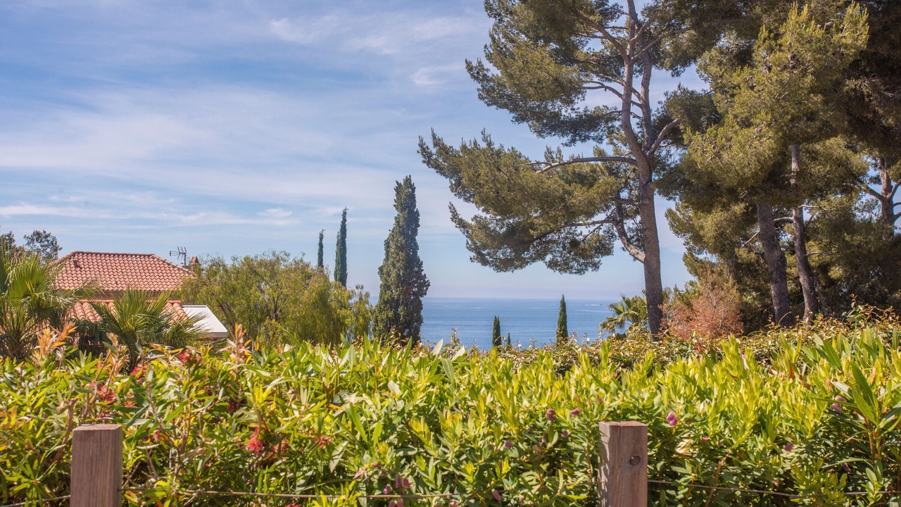 Photo of Outdoor in Le Dramont