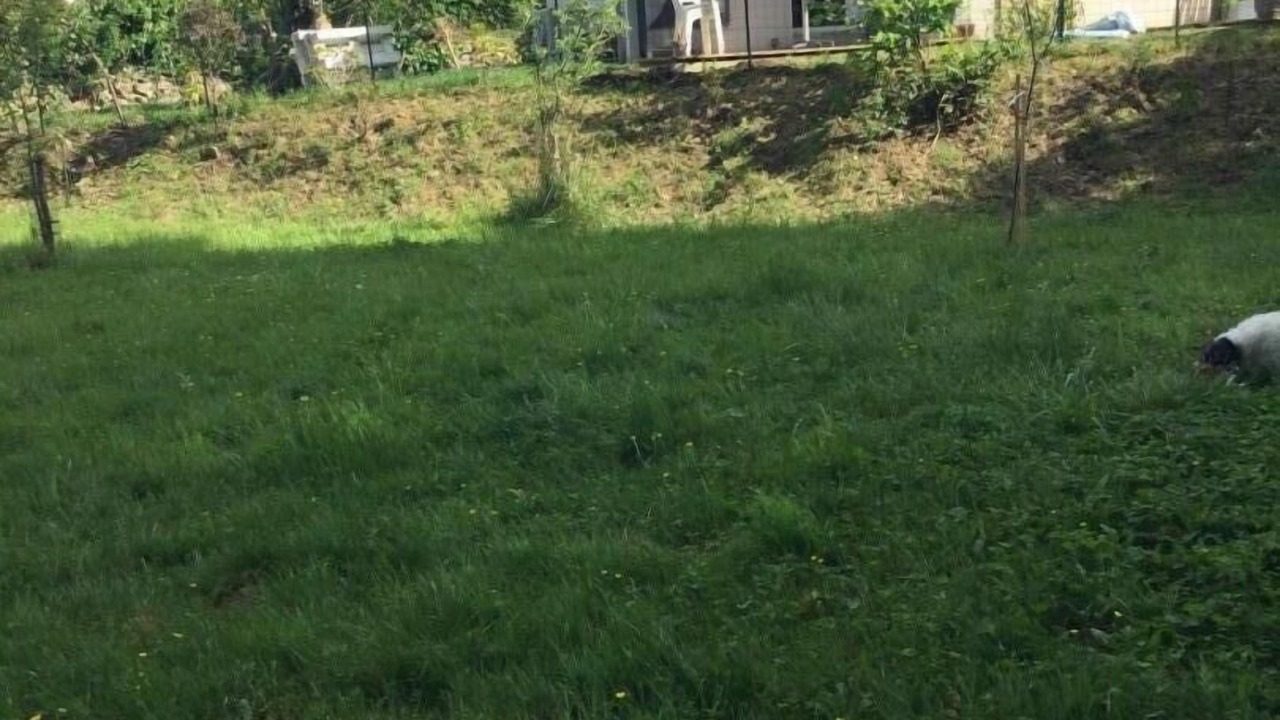 Photo of Outdoor in Saint-Martin-de-Seignanx