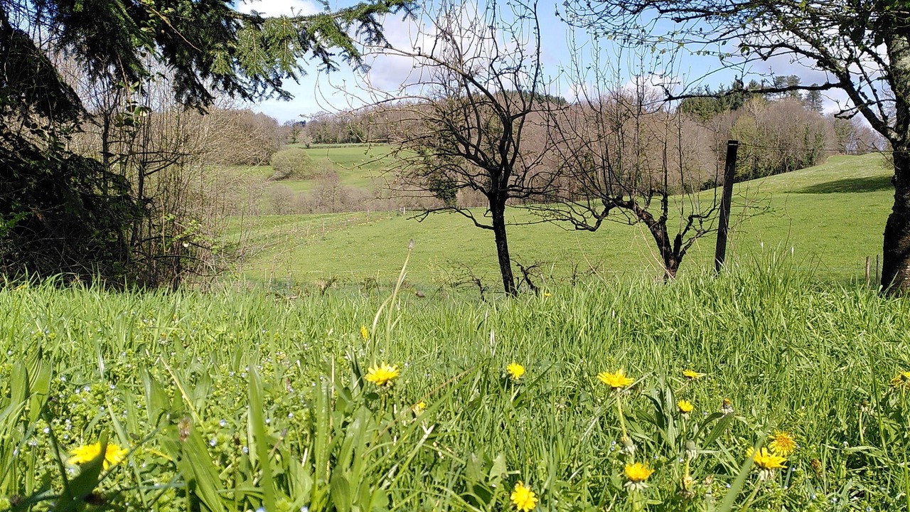 Photo of Outdoor in Saint-Clement