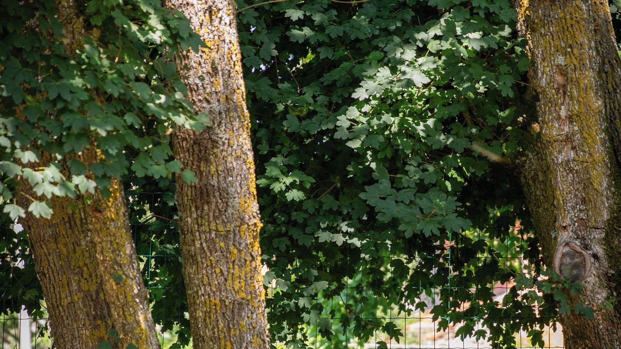 Photo of Others in Le Buisson-de-Cadouin
