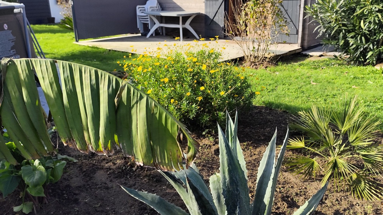 Photo of Outdoor in Saujon