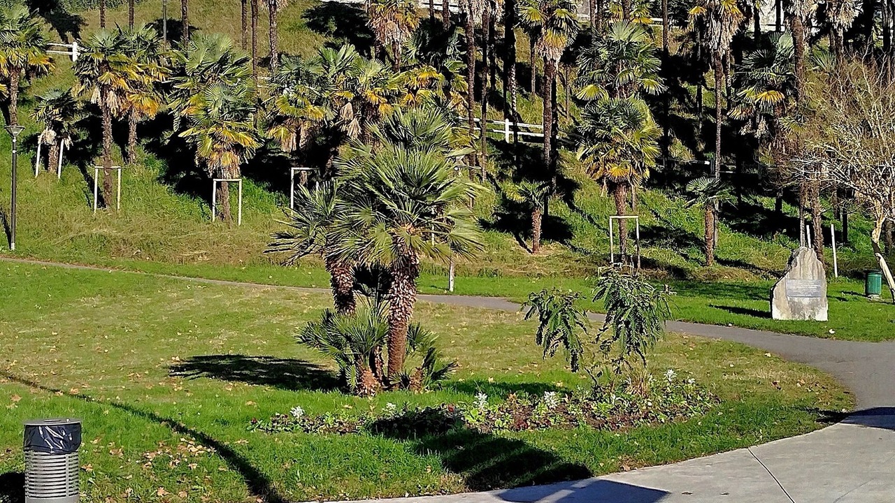 Photo of Outdoor in Centre Ville