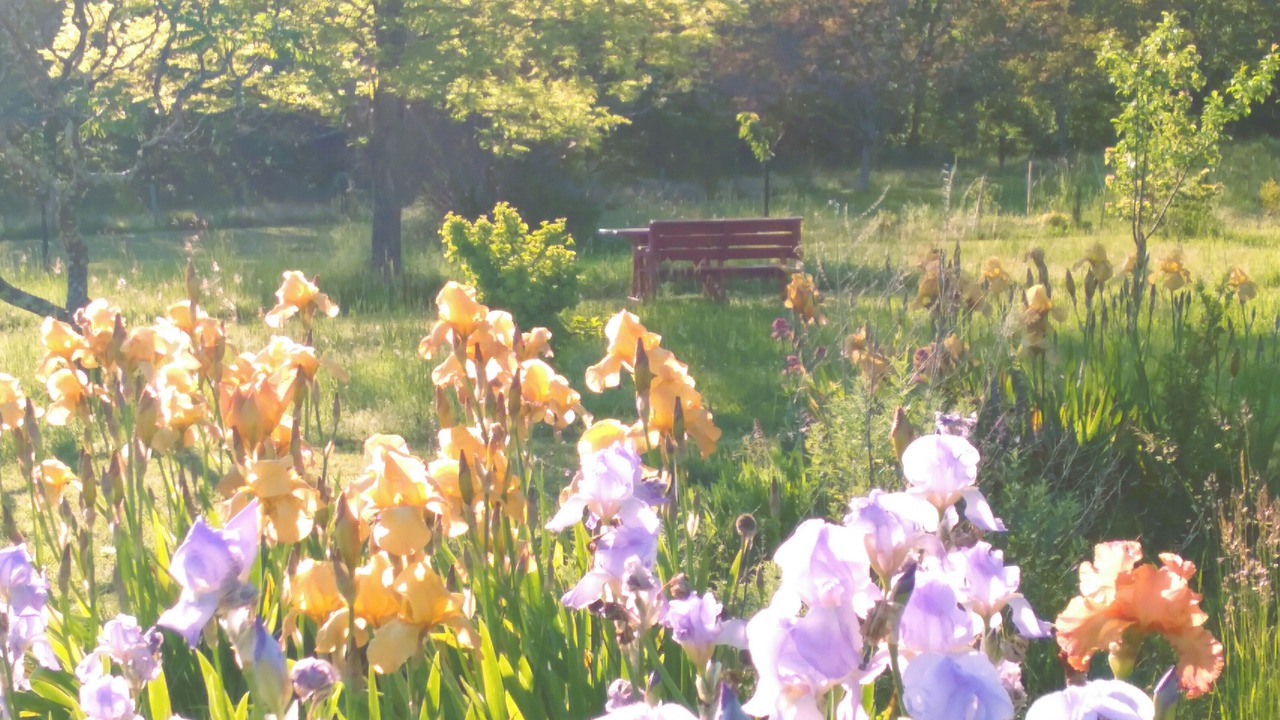 Photo of Outdoor in Saint-Cybranet