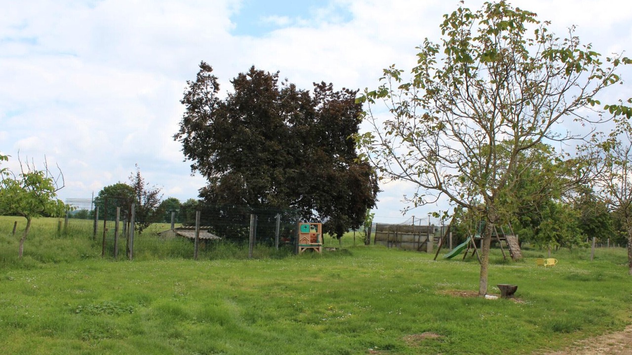 Photo of Outdoor in Naussannes