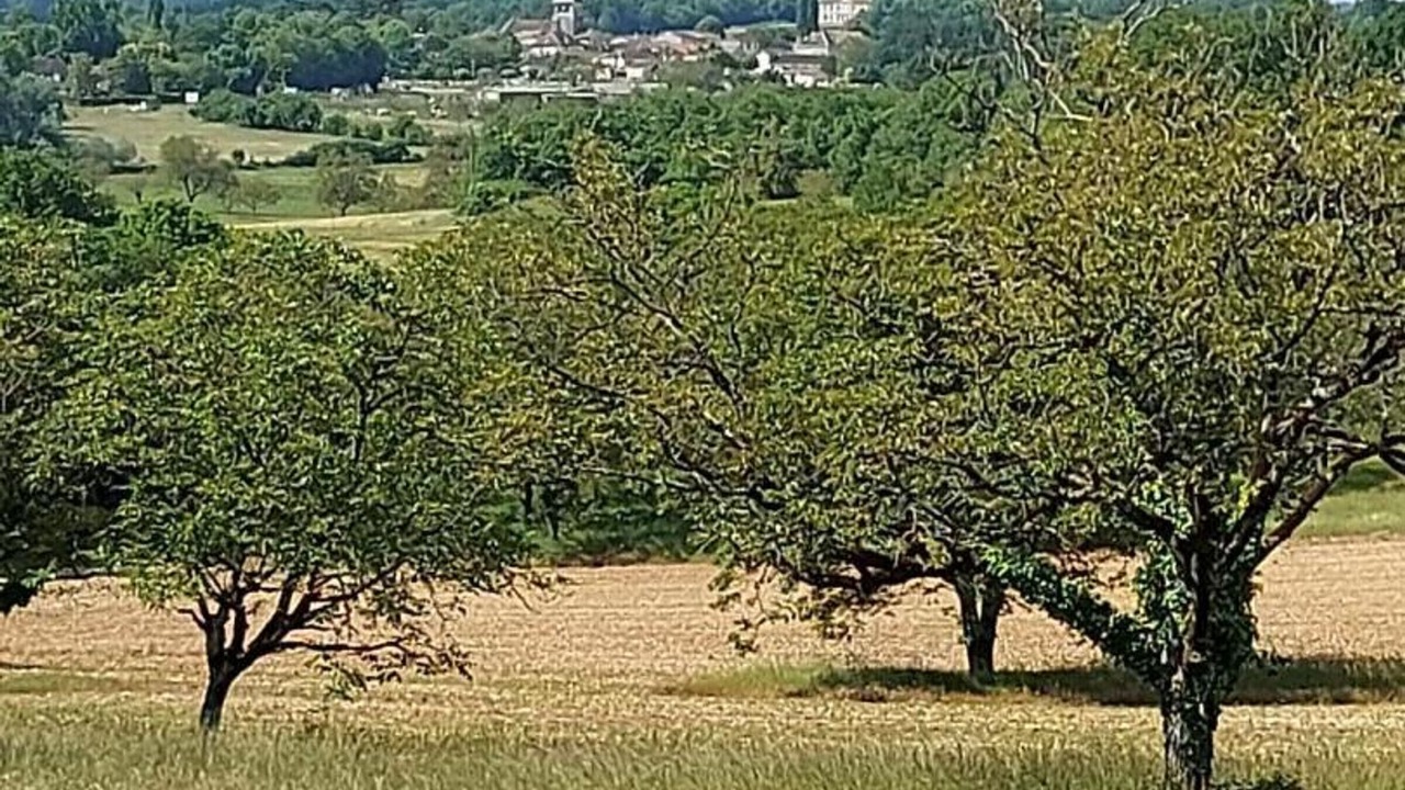 Photo of Others in Sorges-et-Ligueux-en-Perigord
