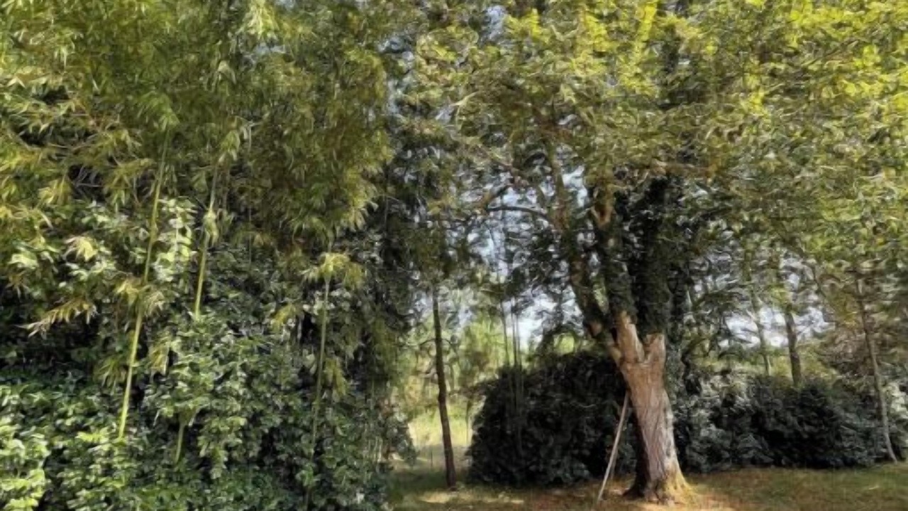 Photo of Others in Uzeste