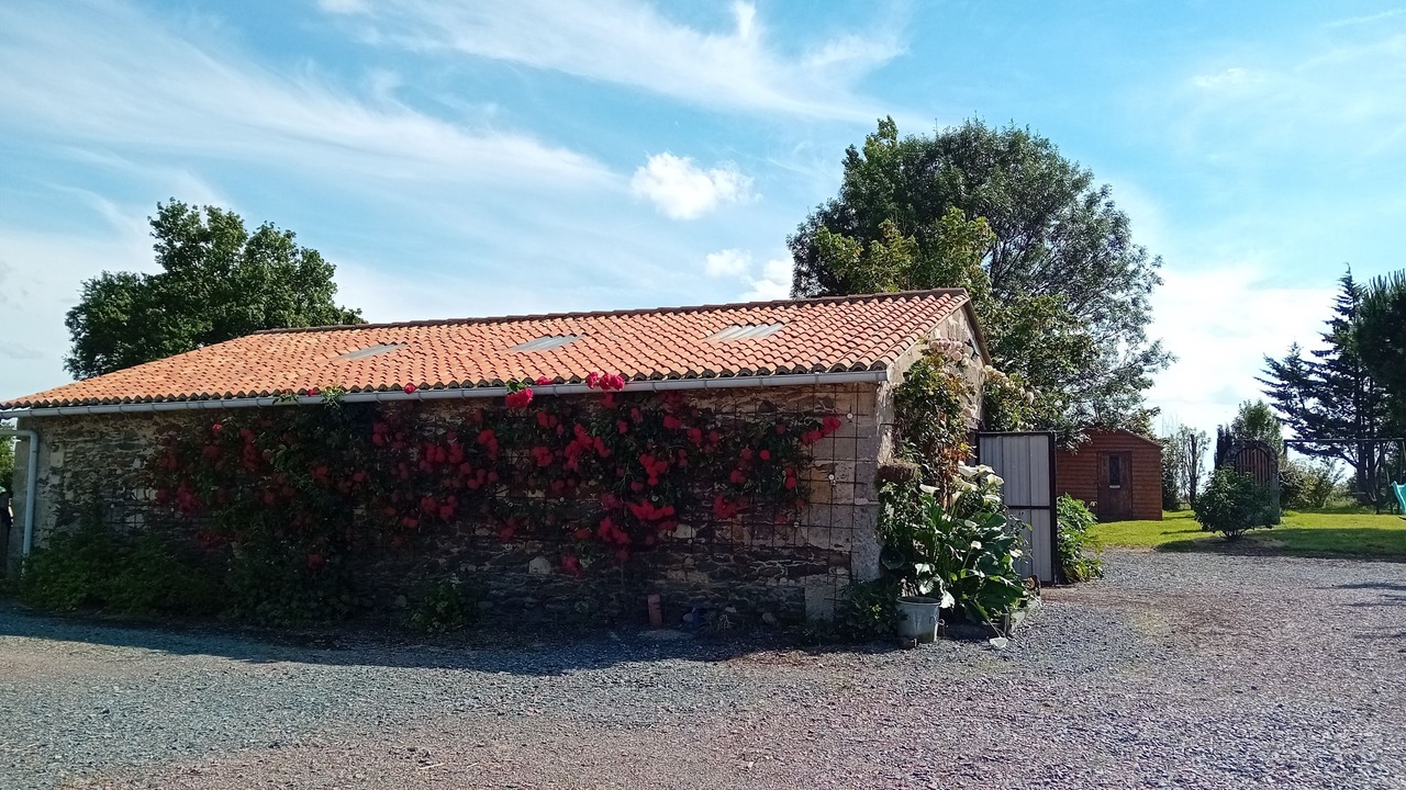 Photo of Outdoor in Cersay