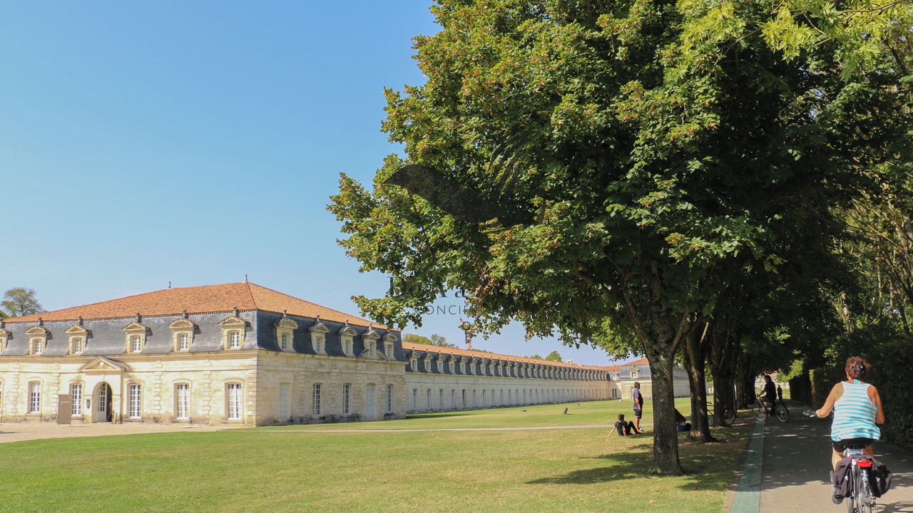 Photo of Others in Rochefort