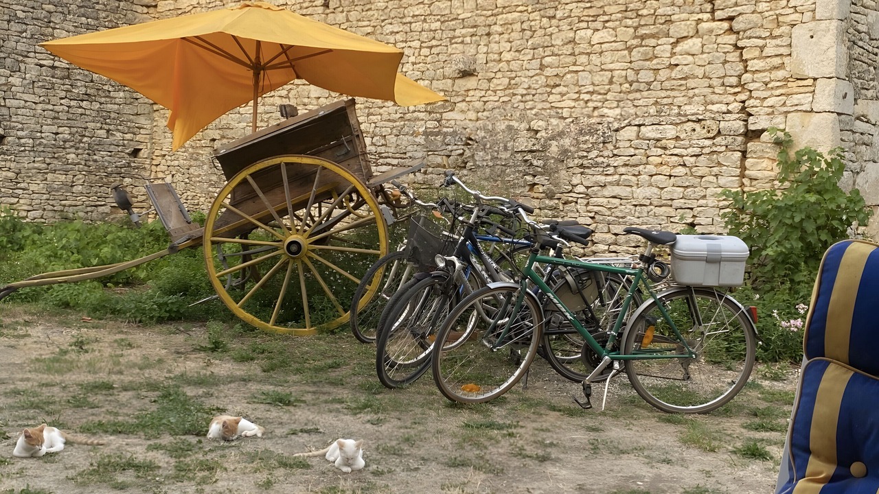 Photo of Outdoor in Blanzay