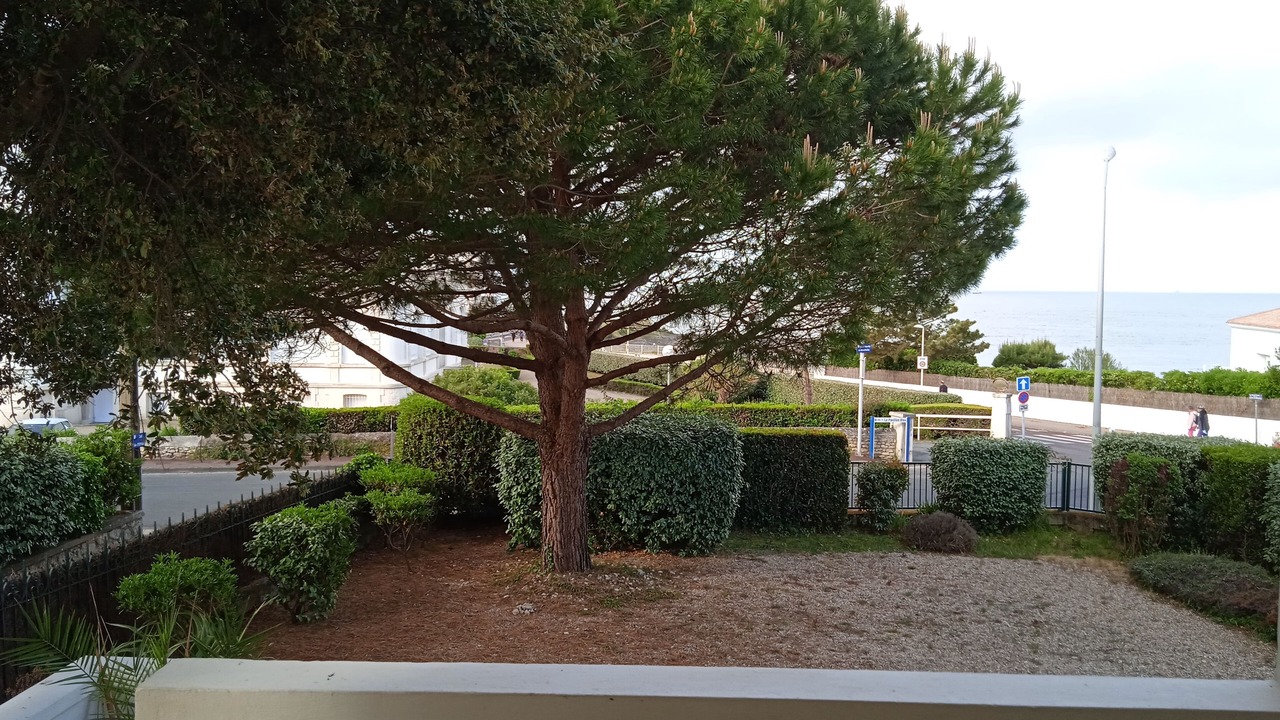 Photo of Outdoor in Pontaillac
