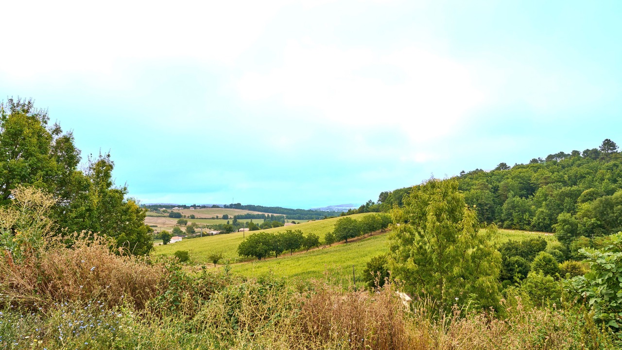 Photo of Others in Leguillac-de-l'Auche