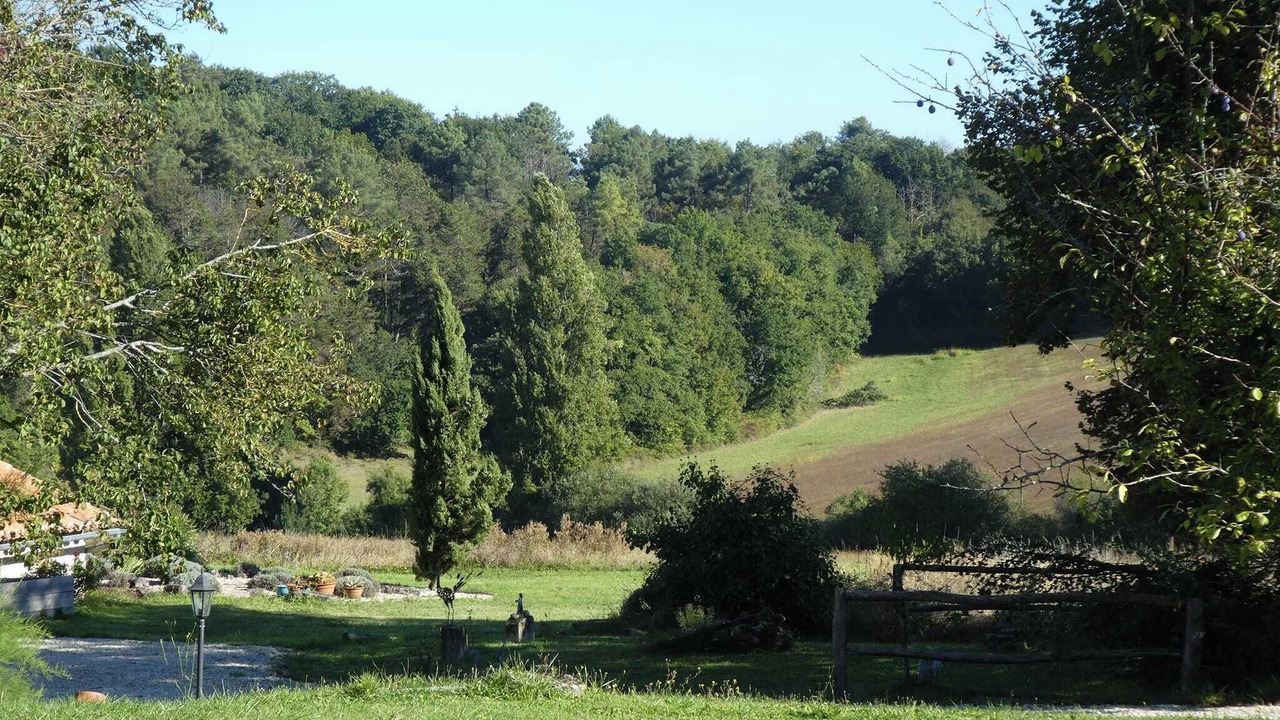 Photo of Outdoor in Juignac
