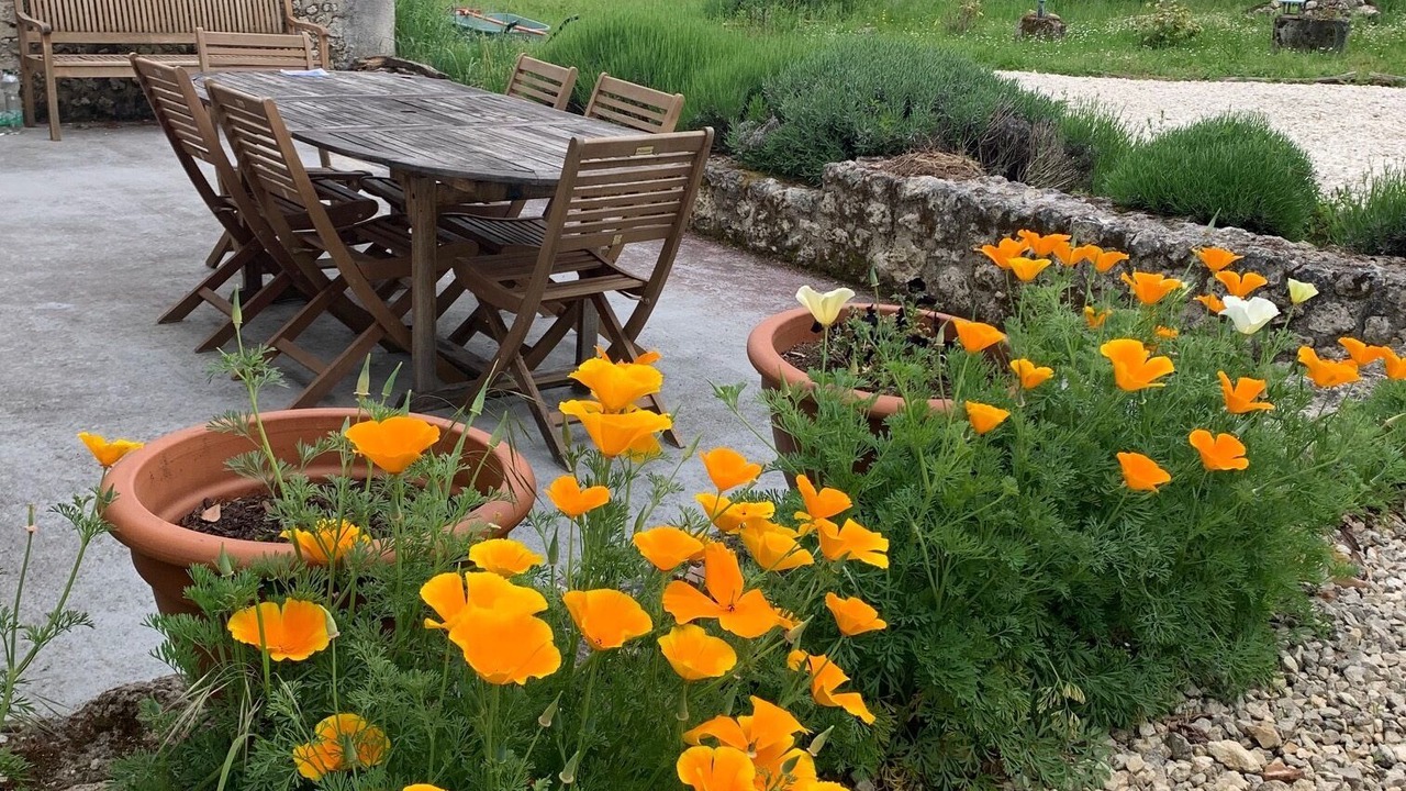 Photo of Outdoor in Juignac