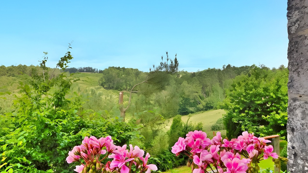 Photo of Outdoor in La Chapelle-Faucher