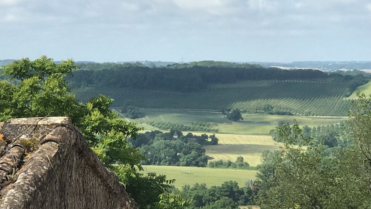 Photo of Others in Montastruc