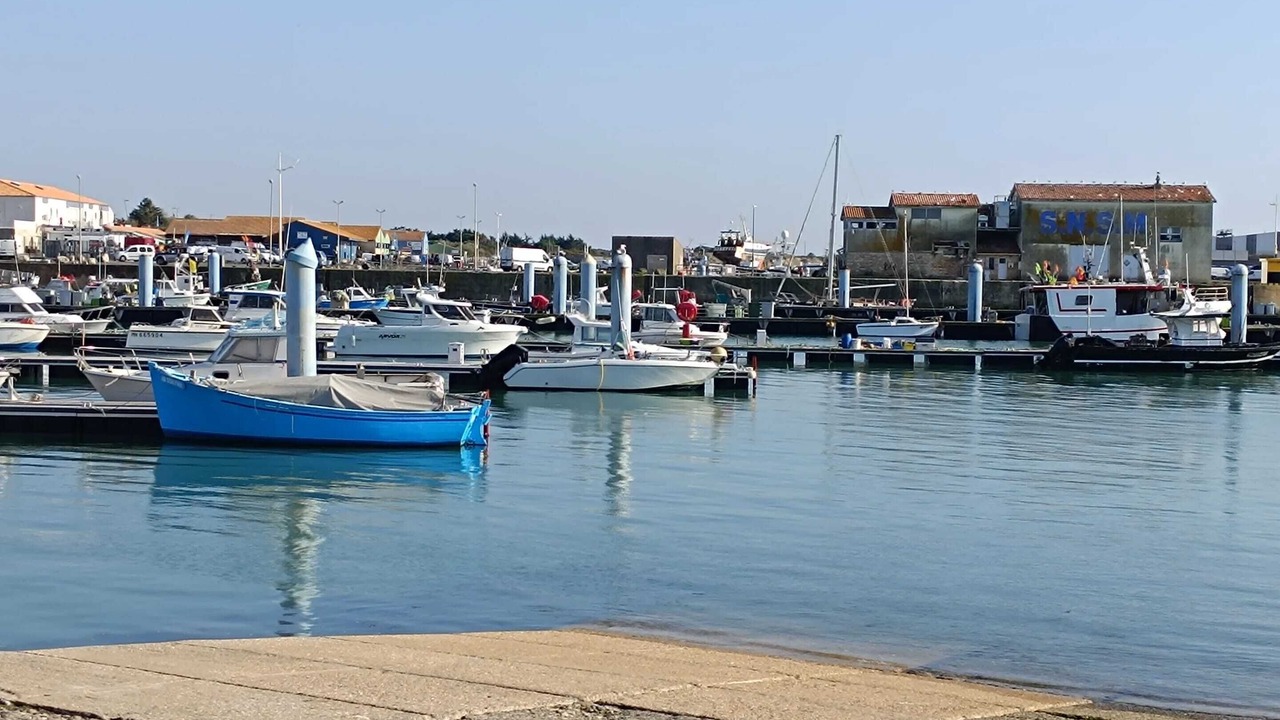 Photo of Others in La Cotiniere