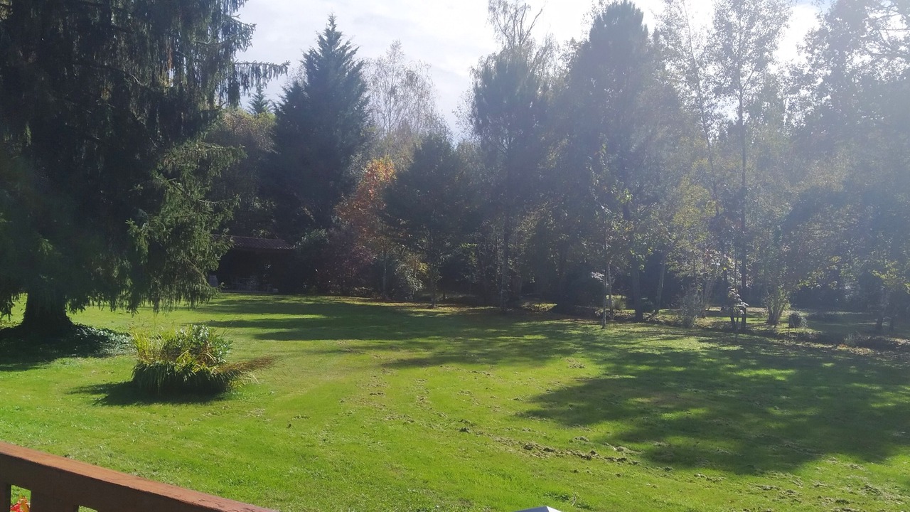 Photo of Outdoor in Sabres