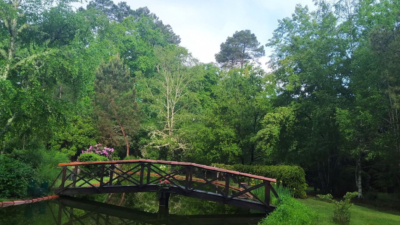 Photo of Outdoor in Sabres