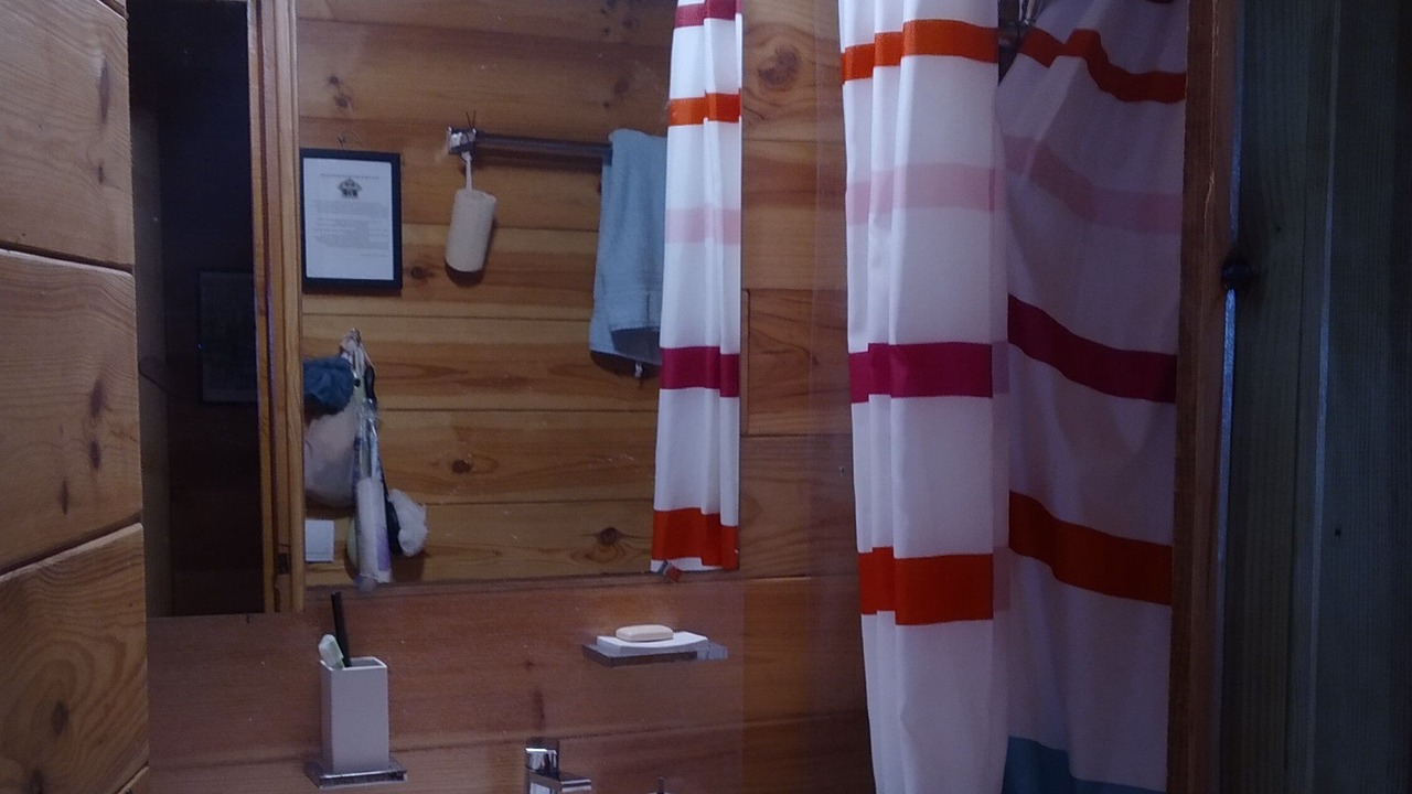 Photo of Bathroom in Sabres