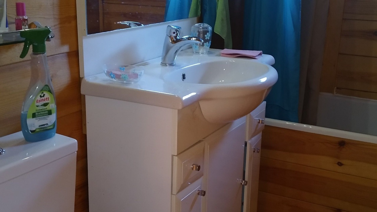 Photo of Bathroom in Sabres