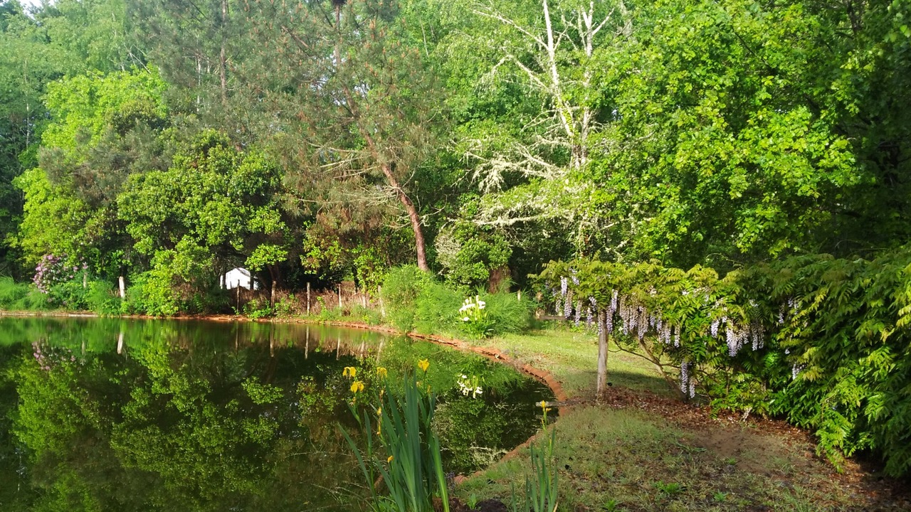 Photo of Outdoor in Sabres