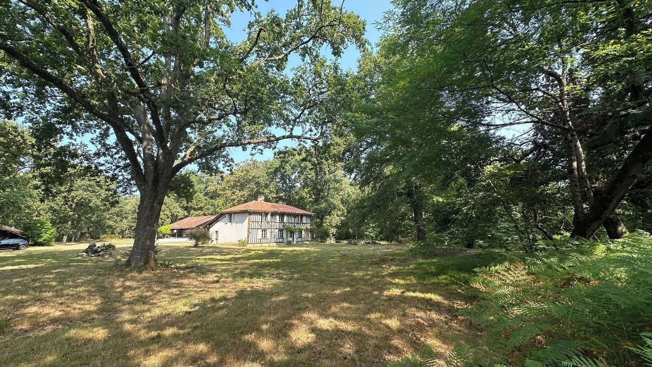 Photo of Outdoor in Vert