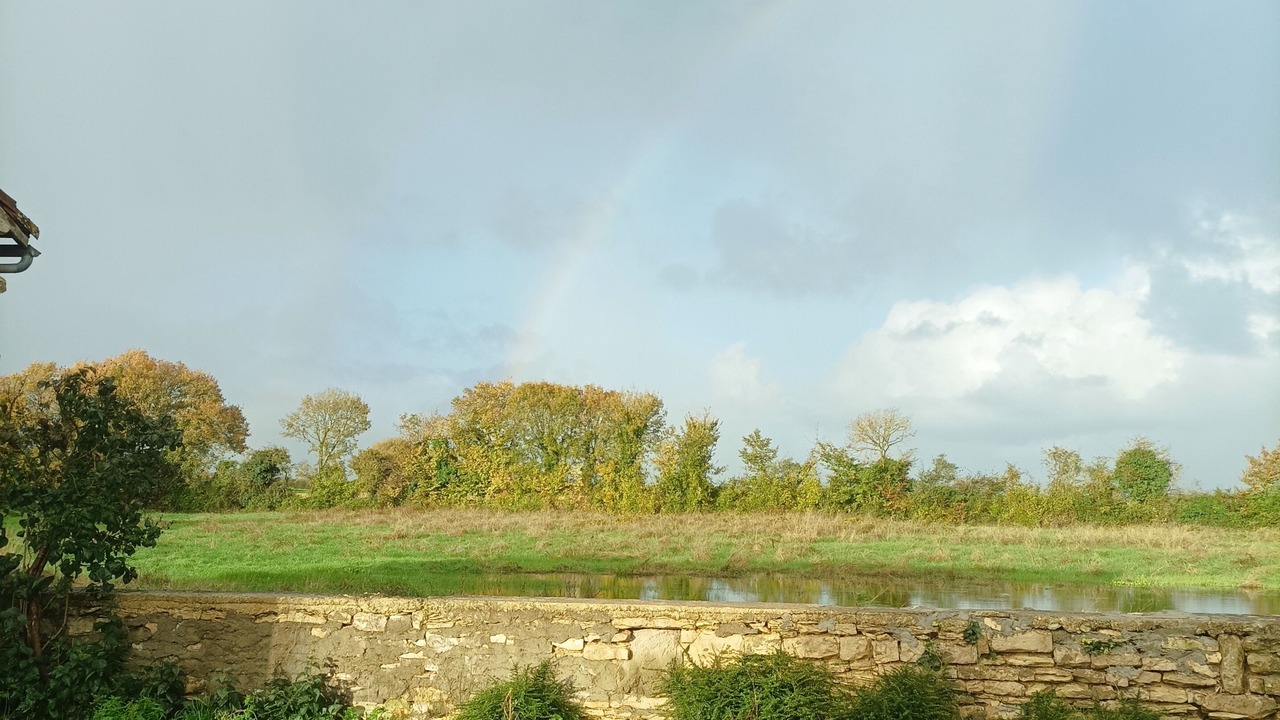 Photo of Others in Asnieres-en-Poitou