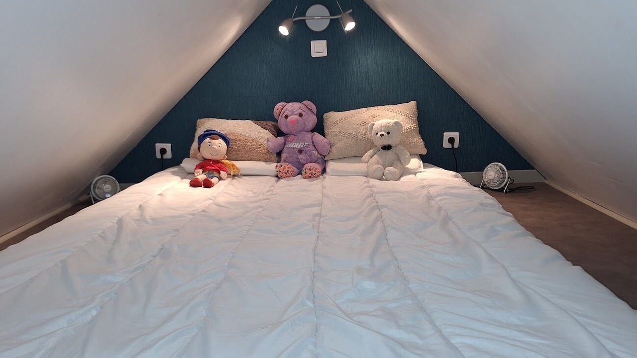 Photo of Bedroom in Saint-Pantaleon-de-Larche