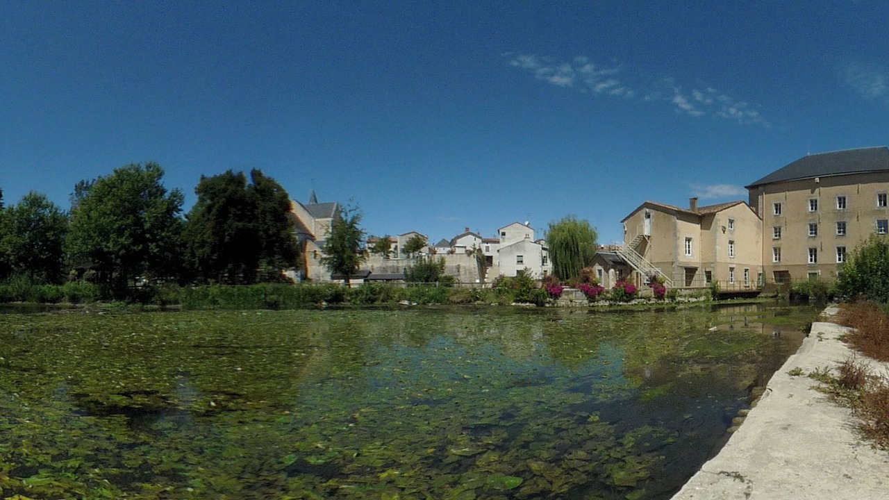 Photo of Others in Chasseneuil-du-Poitou