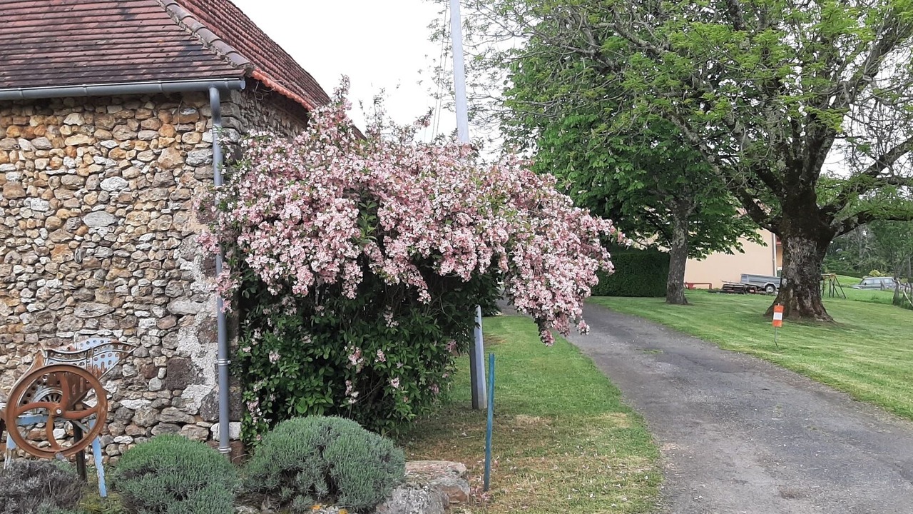Photo of Outdoor in Rouffignac-Saint-Cernin-de-Reilhac