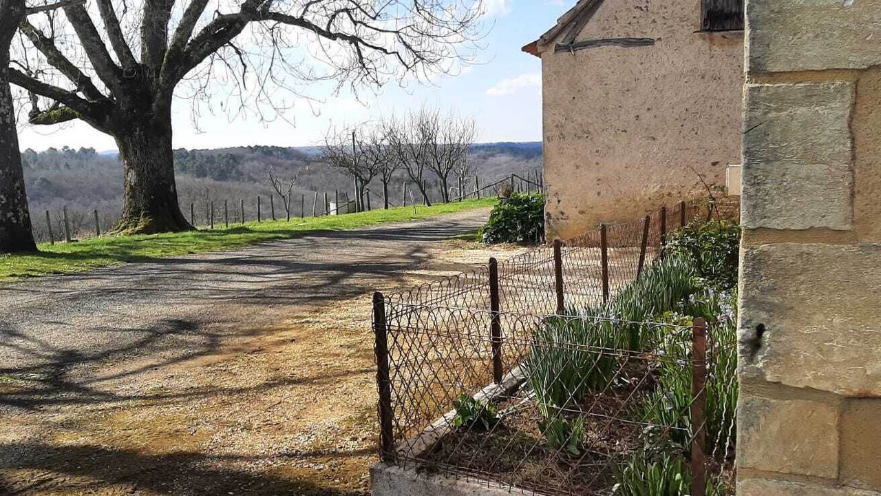 Photo of Outdoor in Rouffignac-Saint-Cernin-de-Reilhac