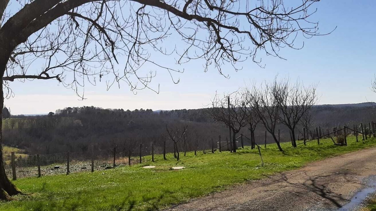 Photo of Outdoor in Rouffignac-Saint-Cernin-de-Reilhac