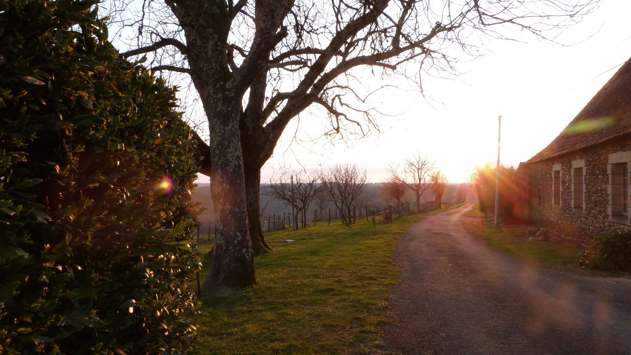 Photo of Outdoor in Rouffignac-Saint-Cernin-de-Reilhac