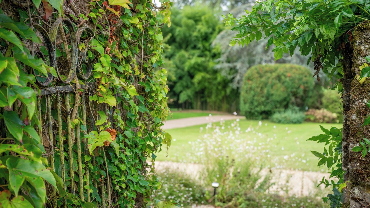 Photo of Outdoor in Sainte-Alvere