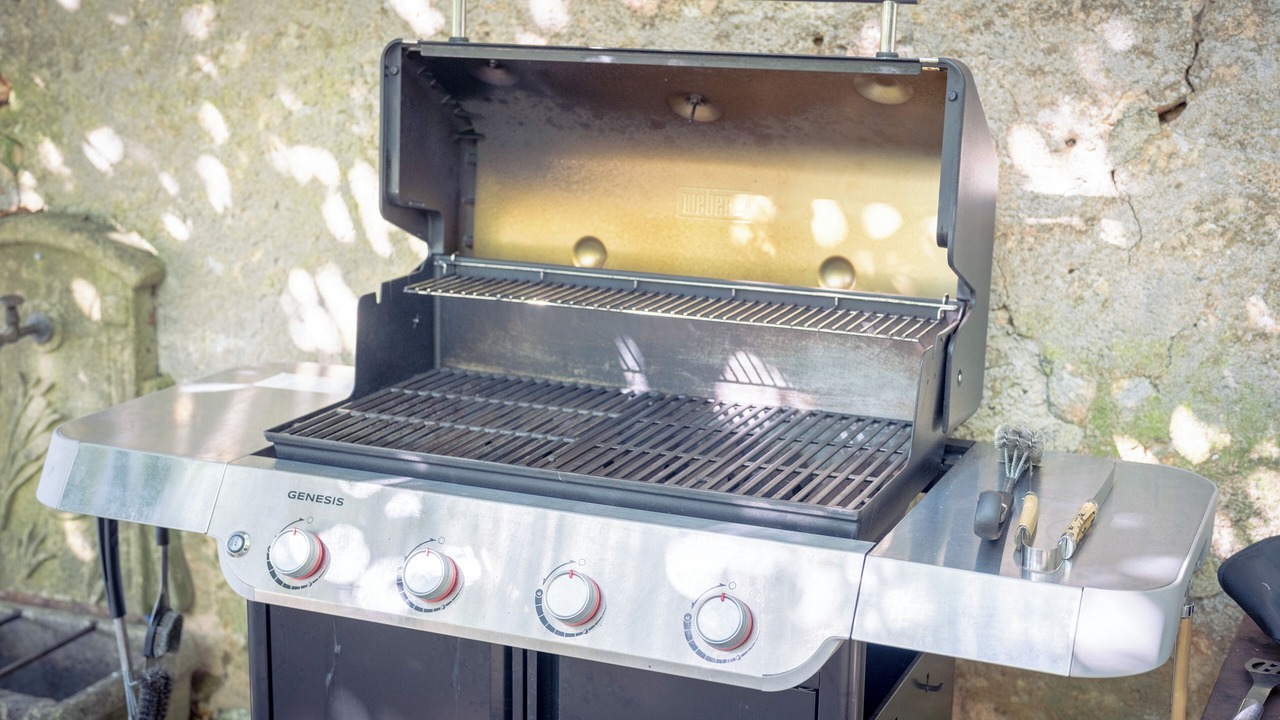Photo of Outdoor in Sainte-Alvere