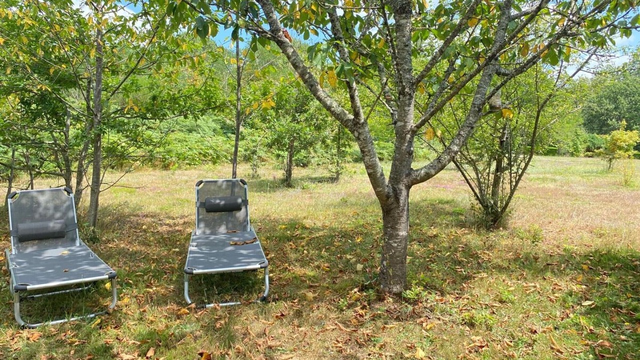 Photo of Outdoor in Saint-Chamassy