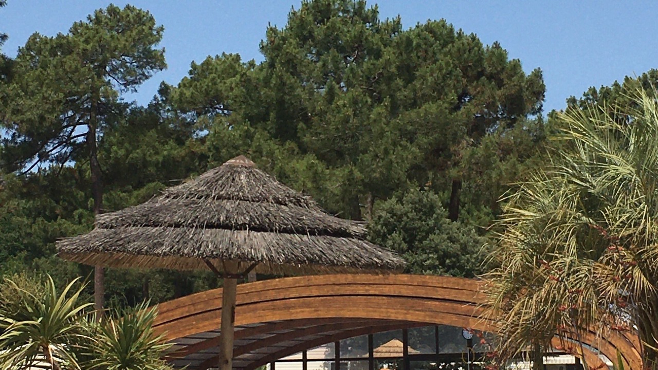 Photo of Outdoor in Ronce-les-Bains