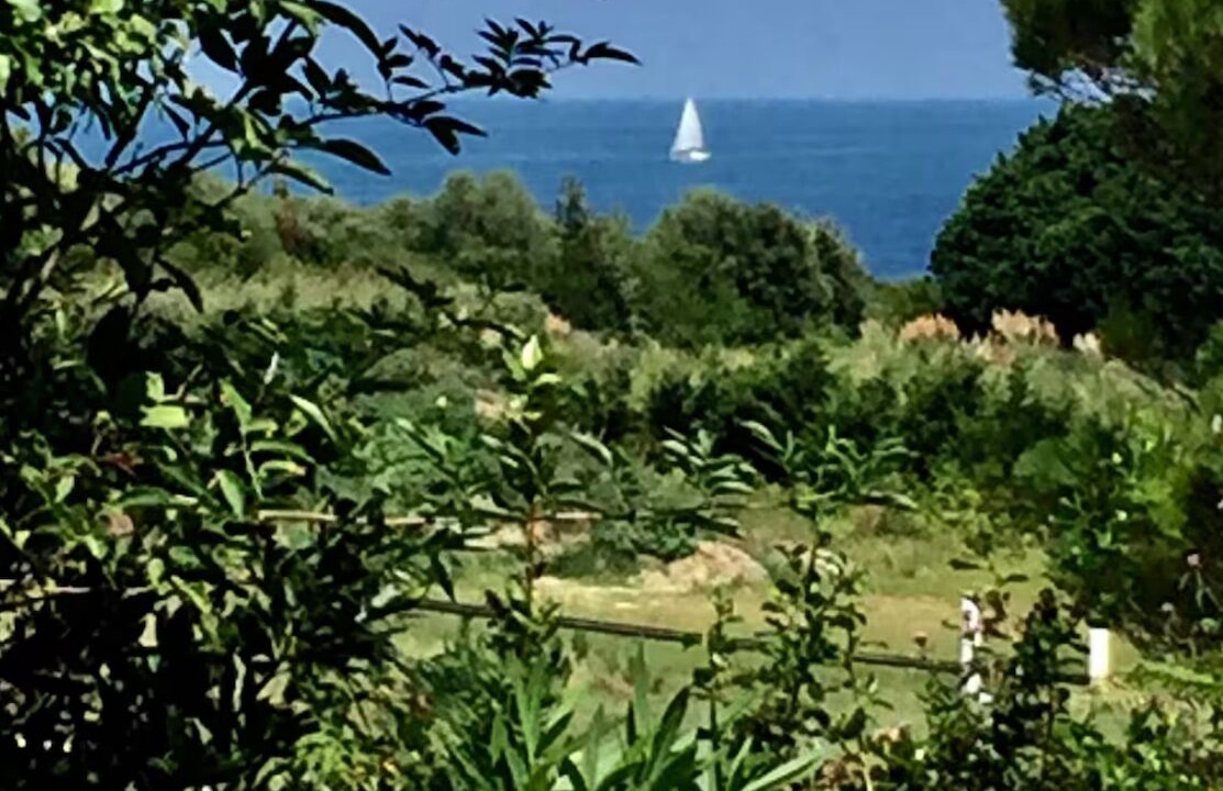 Photo of Others in Kokotia