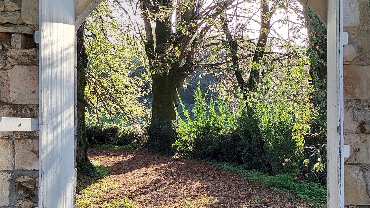 Photo of Outdoor in Rancogne