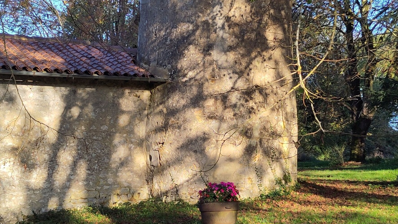 Photo of Others in Rancogne