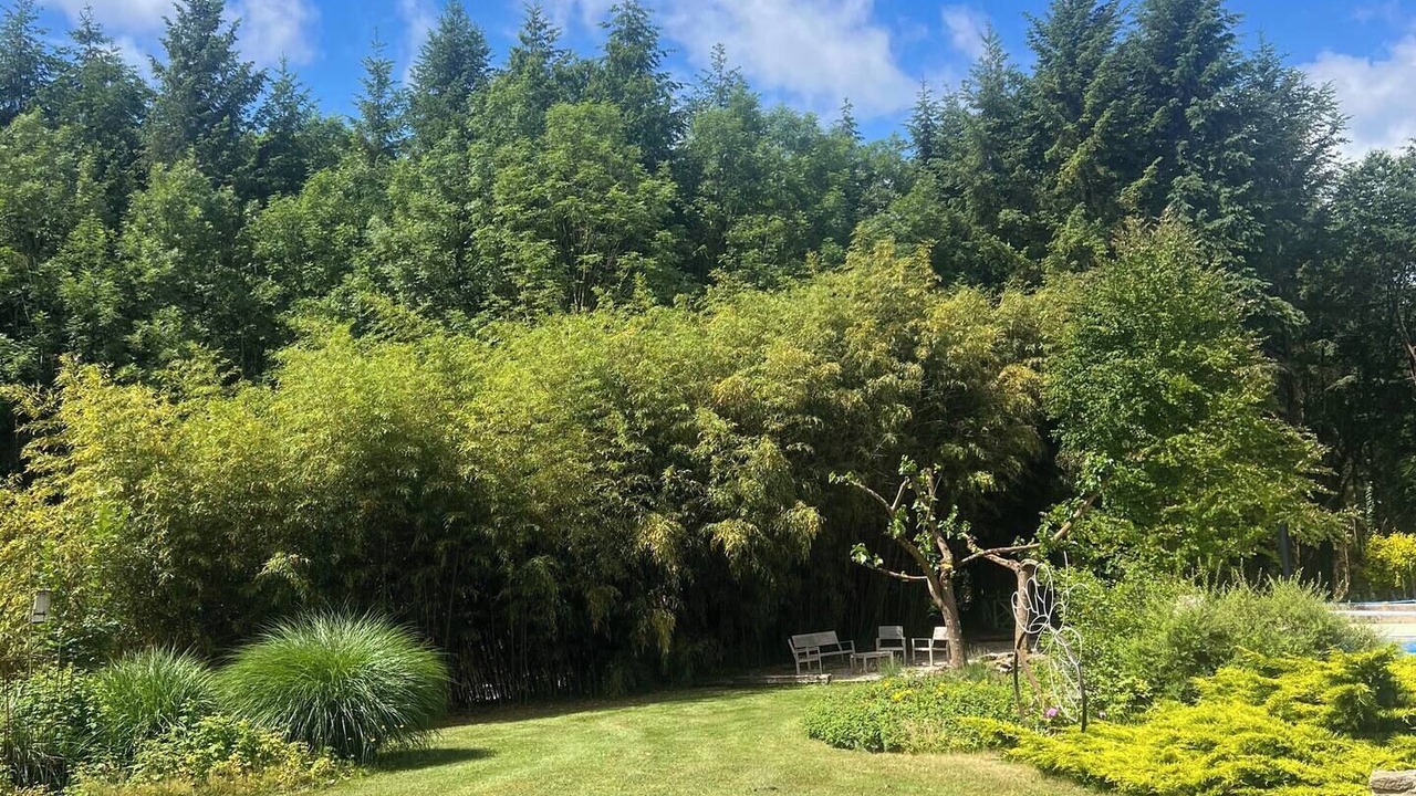 Photo of Outdoor in Bussiere-Saint-Georges