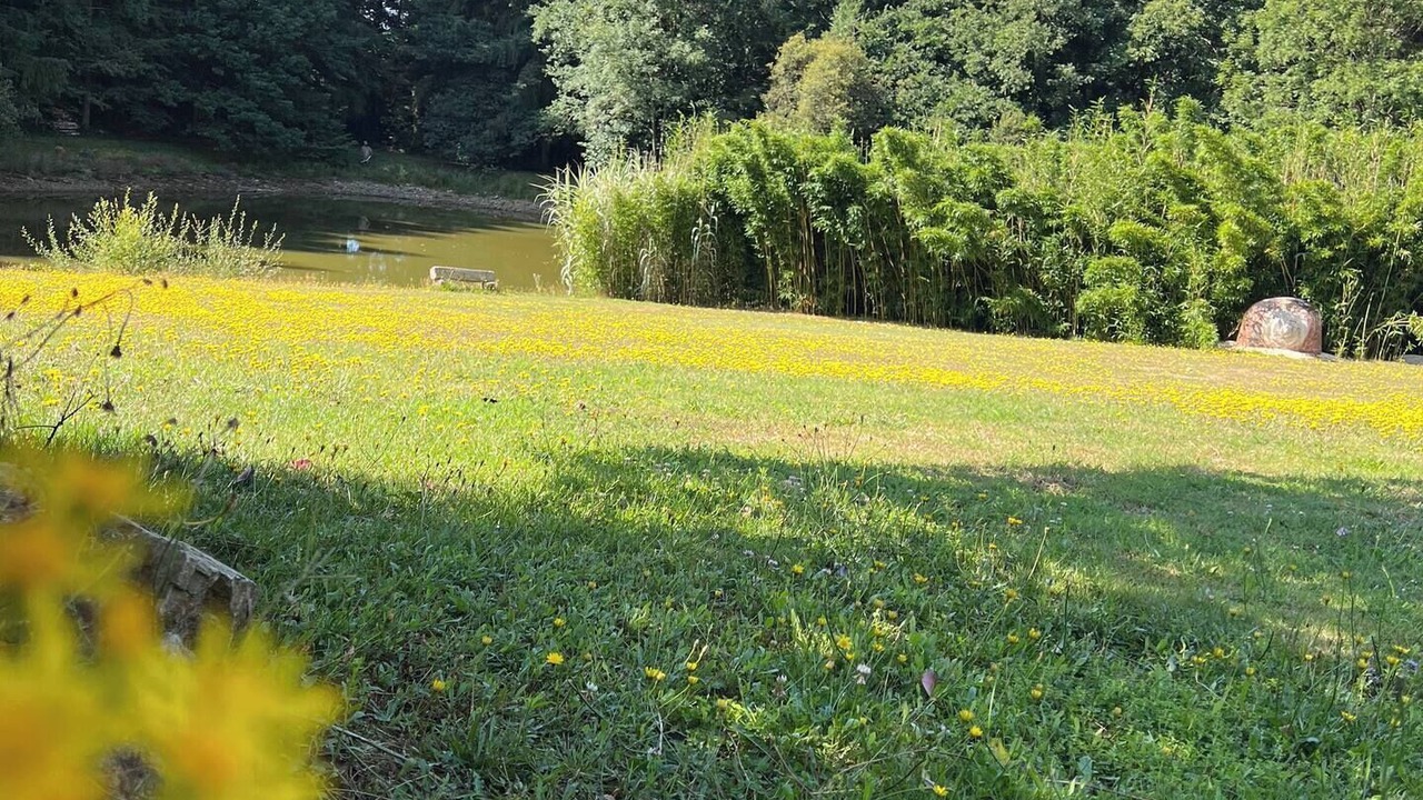 Photo of Outdoor in Bussiere-Saint-Georges