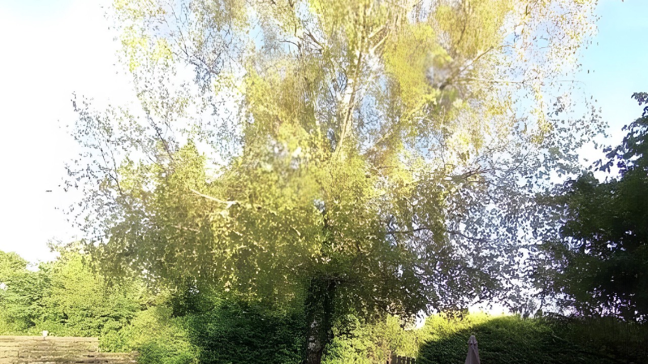 Photo of Outdoor in Riberac