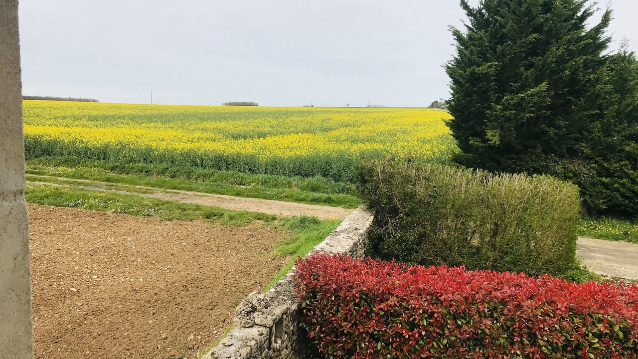 Photo of Outdoor in Vergne
