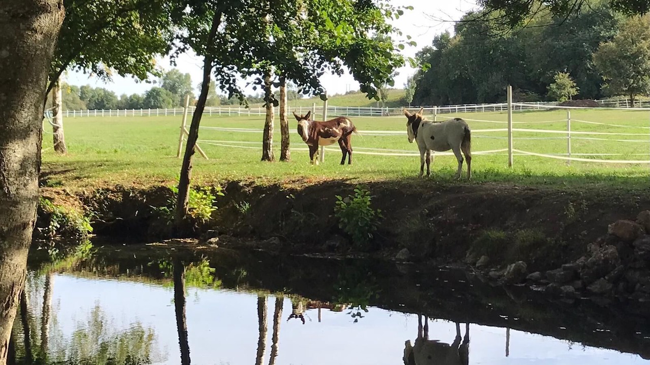 Photo of Others in Chenon