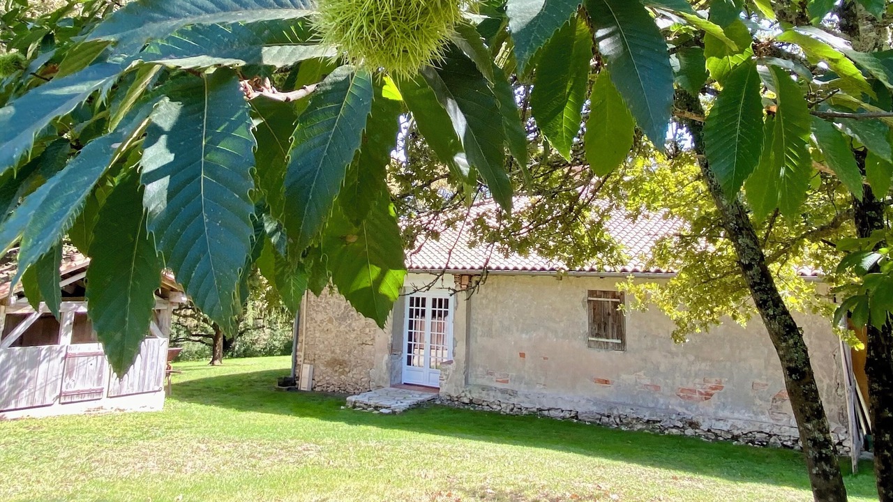 Photo of Outdoor in Betbezer-d'Armagnac