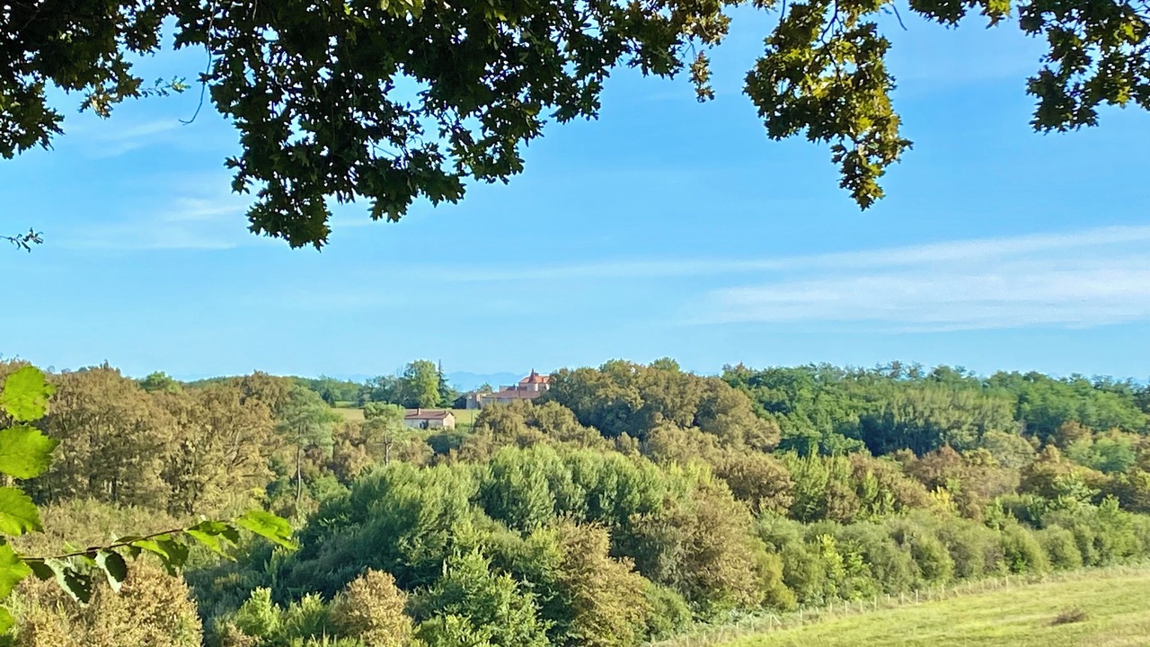 Photo of Others in Betbezer-d'Armagnac