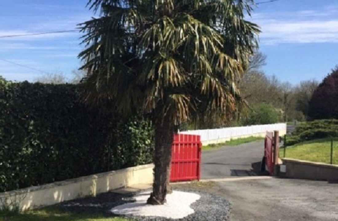 Photo of Outdoor in Saint-Florent