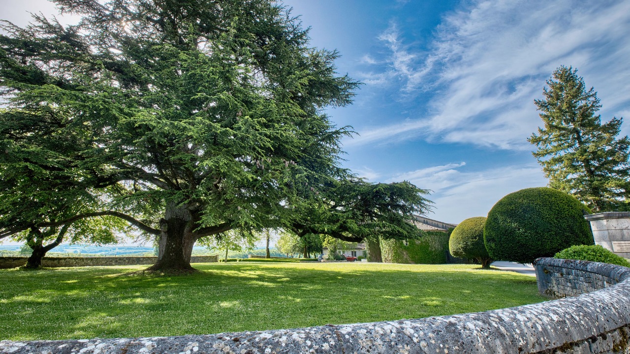 Photo of Outdoor in Thenac